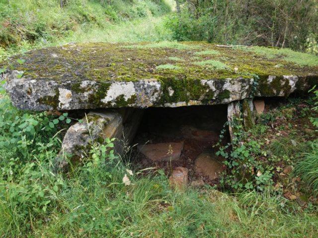 Casteljosse - Nature Calme Et Serenite Viala-du-Tarn Εξωτερικό φωτογραφία